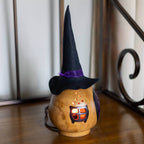 Witch Cottage Gourd Side View at Meadowbrooke Gourds. 
