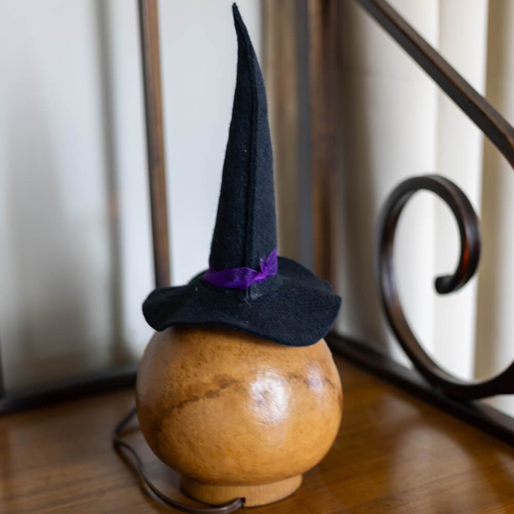 Witch Cottage Gourd Back View at Meadowbrooke Gourds. 