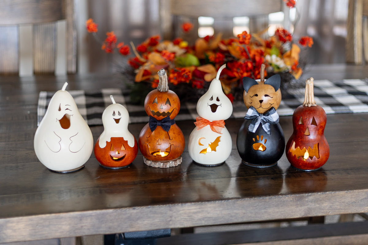 Fall miniature gourds at Meadowbrooke Gourds.