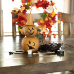 Fiona Witch Craft Kit Gourd at Meadowbrooke Gourds. 