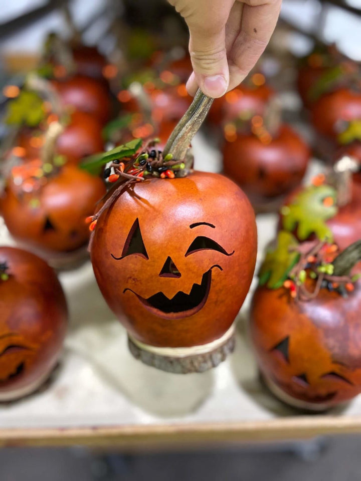 Fredrick Jack-O-Lantern Gourd at Meadowbrooke Gourds. 