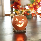 Jack-O-Lantern Gourd Craft Kit at Meadowbrooke Gourds. 