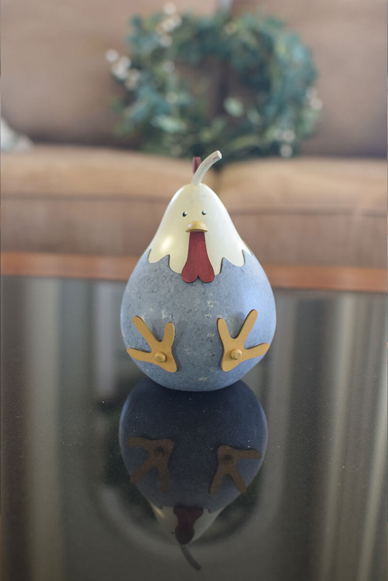 Hattie the hen gourd craft kit finished at Meadowbrooke Gourds