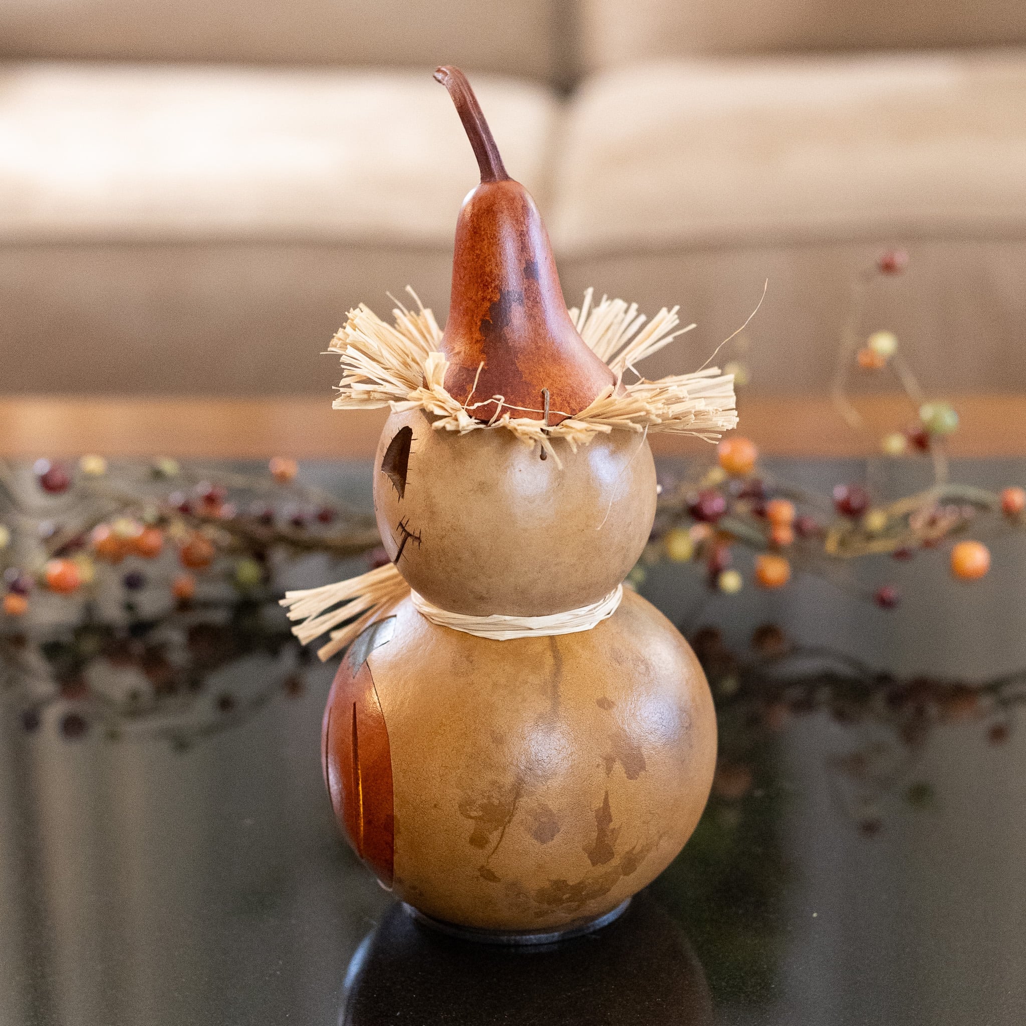 Hollis Scarecrow Miniature Gourd Side View at Meadowbrooke Gourds. 