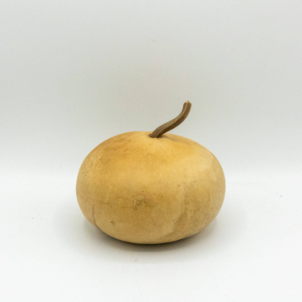 Dried Canteen Gourd - 6" in Diameter
