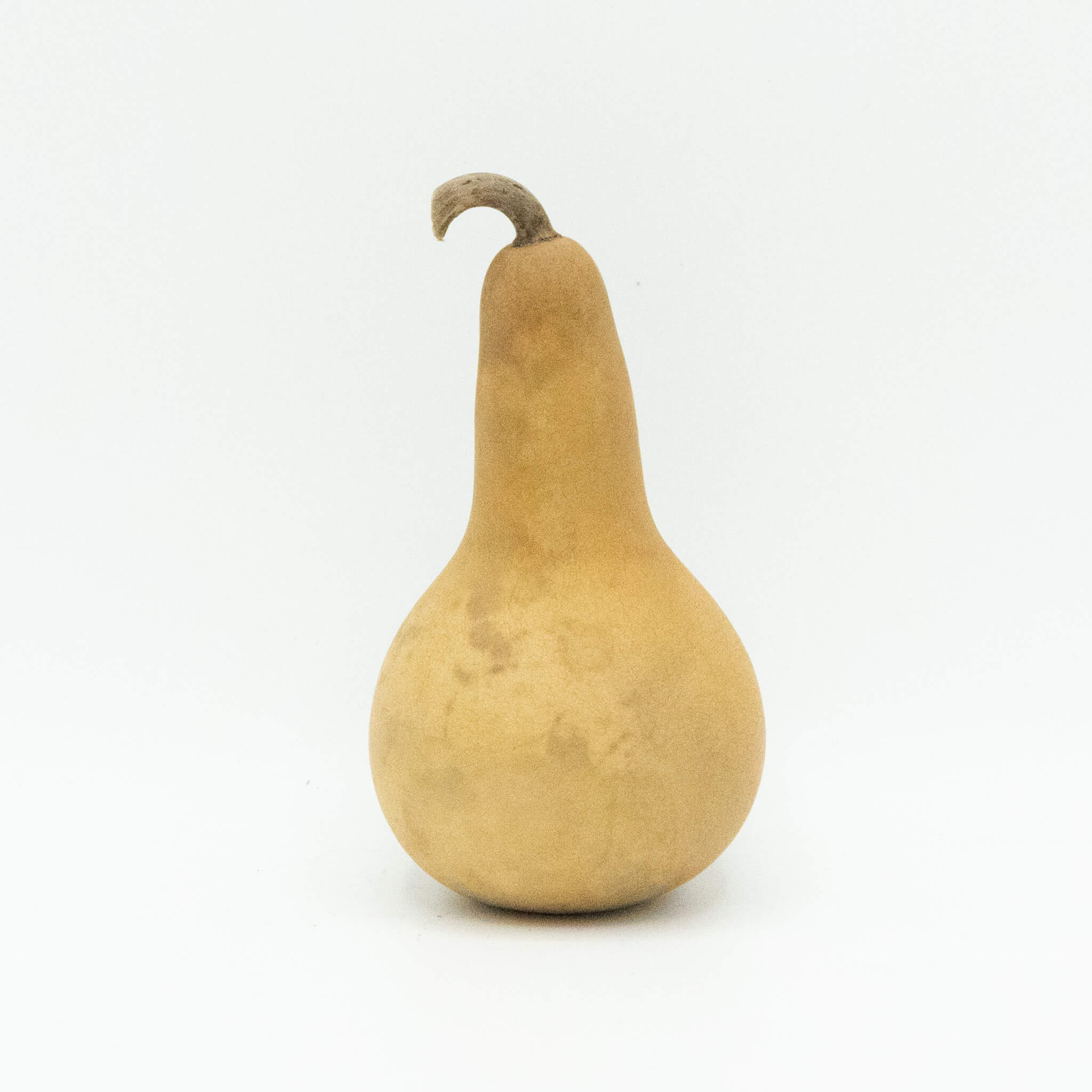 Dried Dipper Gourd - 2" in Diameter