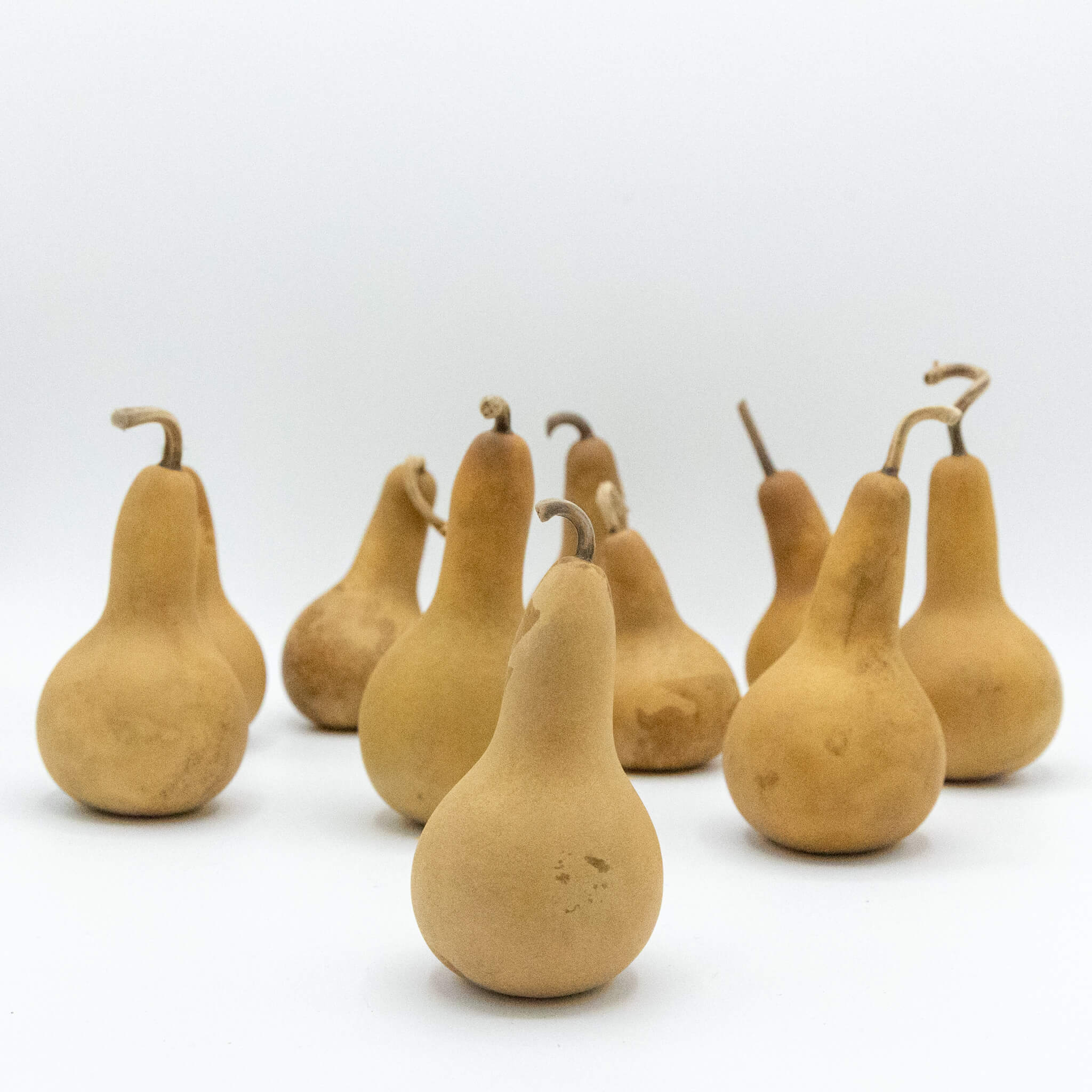 Dried Dipper Gourd - 2" in Diameter