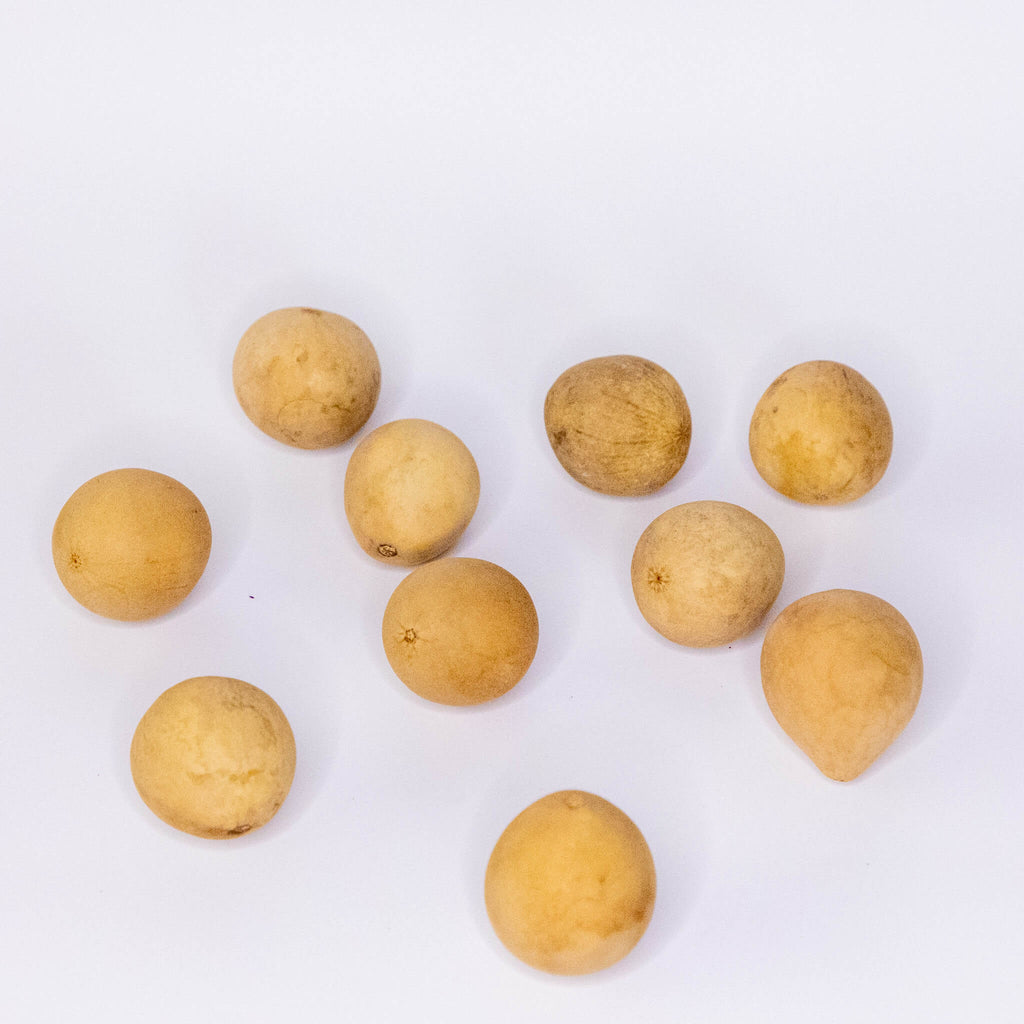 Dried Egg Gourd Ball - 1" in Diameter