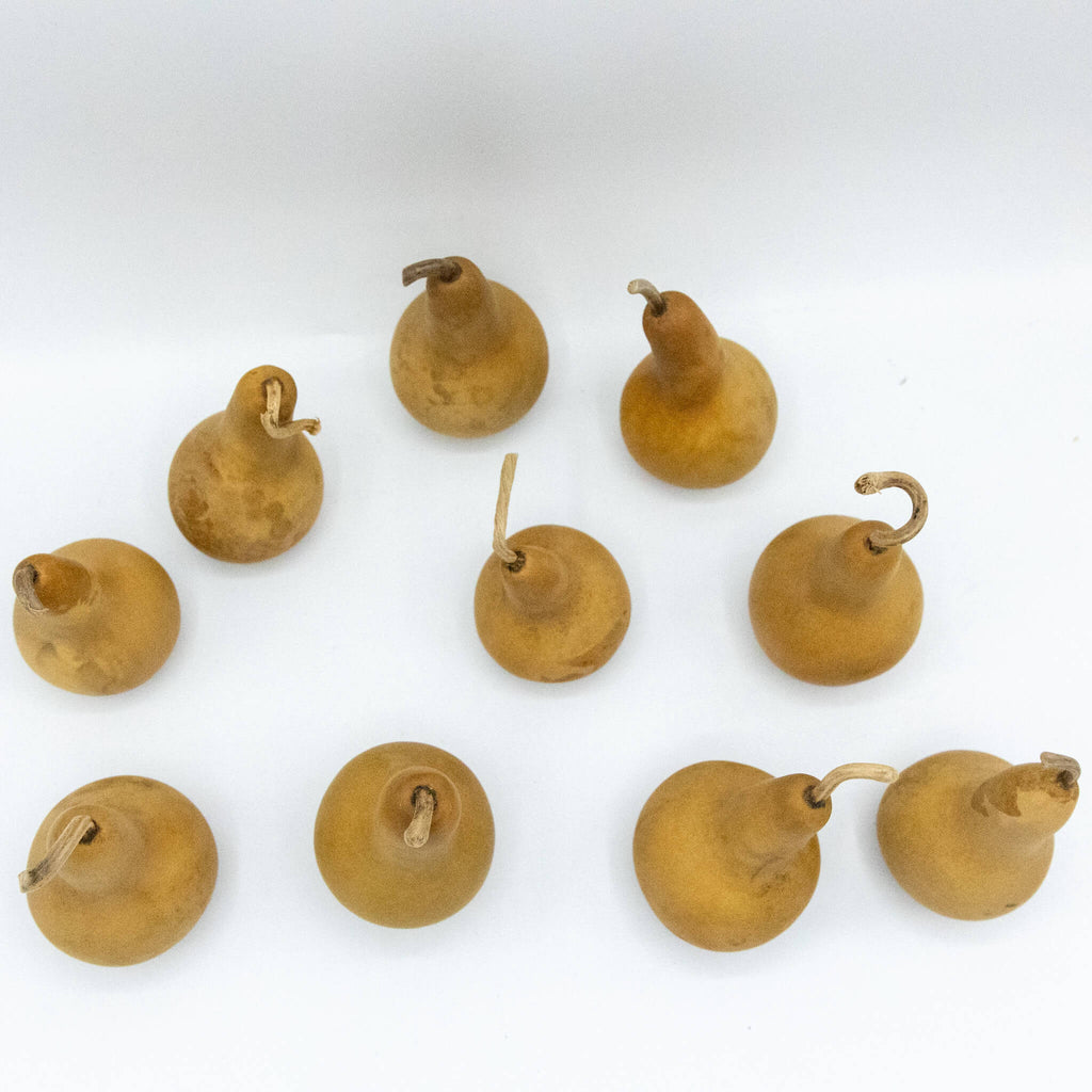 Dried Dipper Gourd - 2" in Diameter