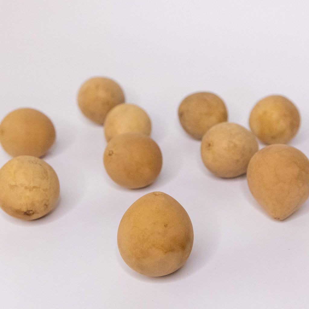 Dried Egg Gourd Ball - 1" in Diameter