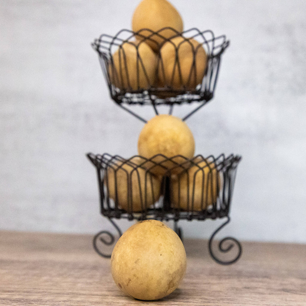 Dried Egg Gourd Ball - 1" in Diameter