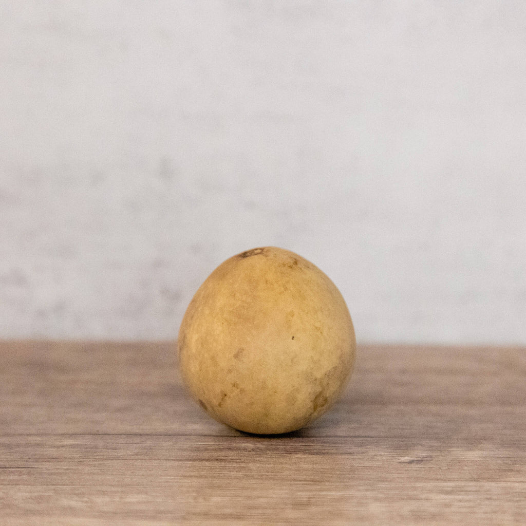 Dried Egg Gourd Ball - 1" in Diameter
