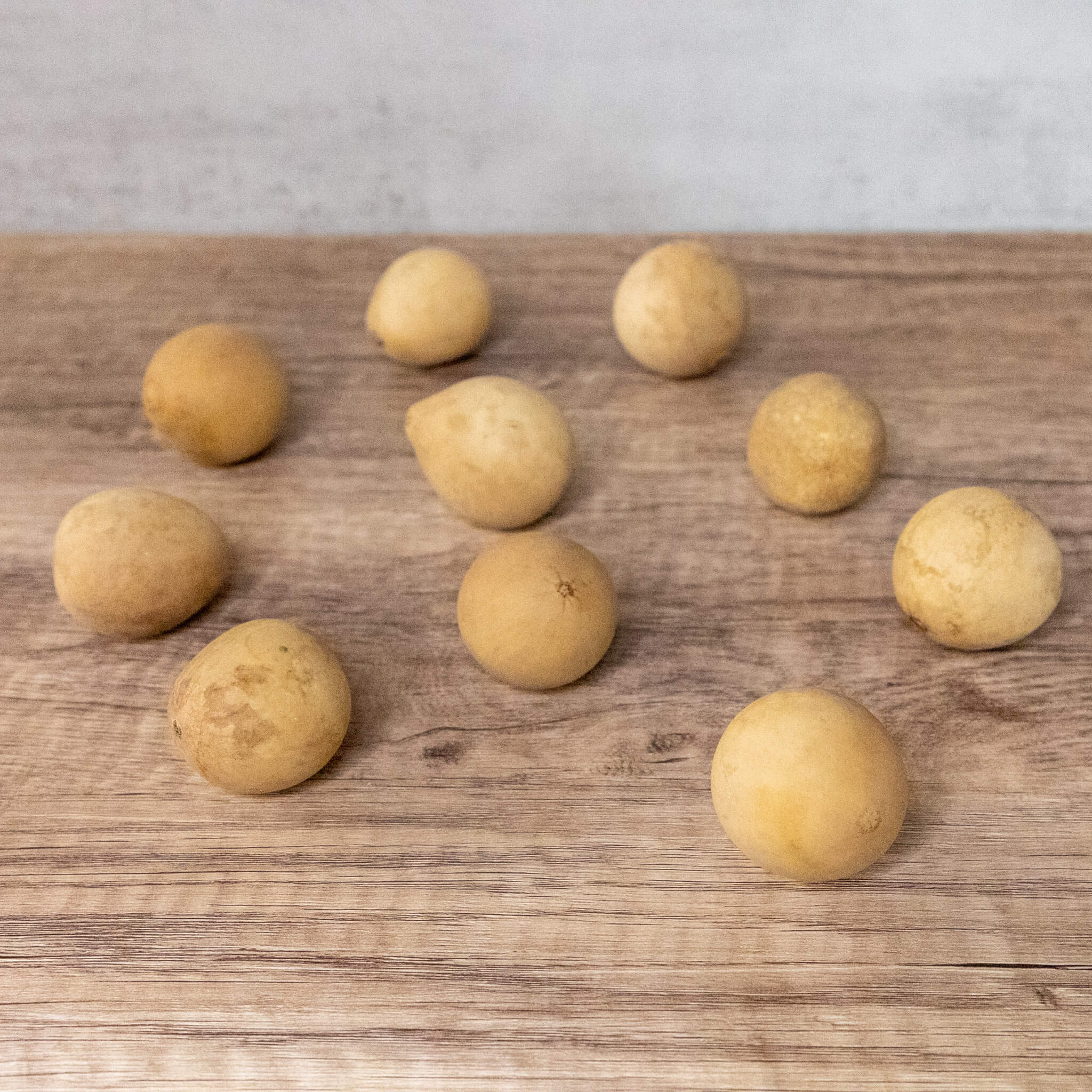 Dried Egg Gourd Ball - 1" in Diameter