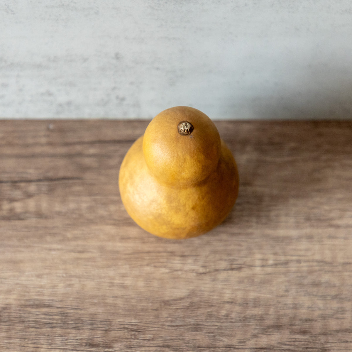 Dried Bottle Gourd Not Stemmed - 2.5" in Diameter