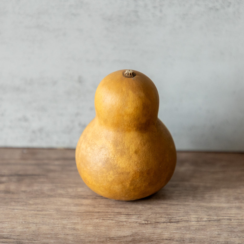Dried Bottle Gourd Not Stemmed - 2.5" in Diameter