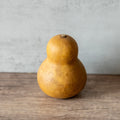 Dried Bottle Gourd Not Stemmed - 2.5" in Diameter