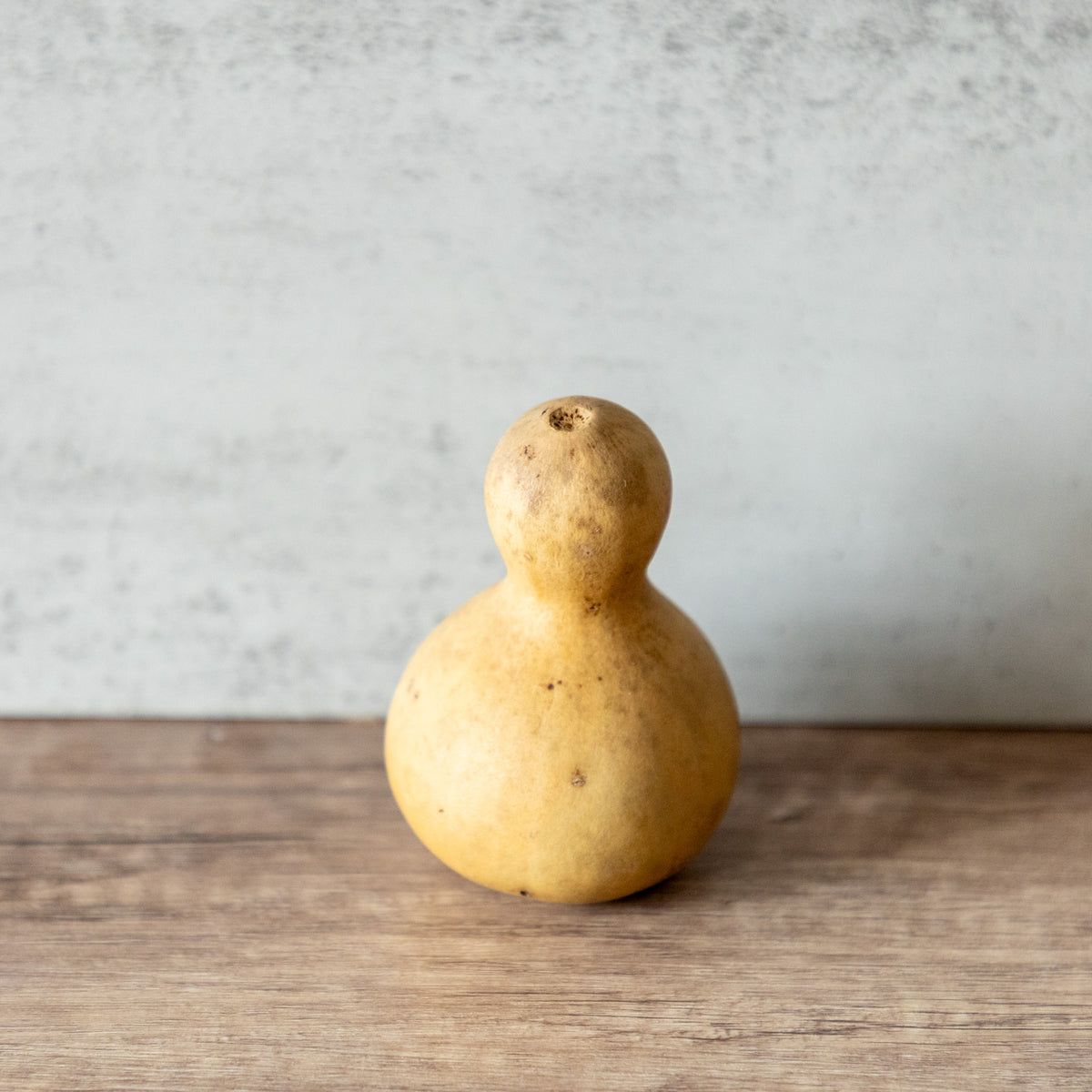 Dried Bottle Gourd Not Stemmed - 2.5" in Diameter