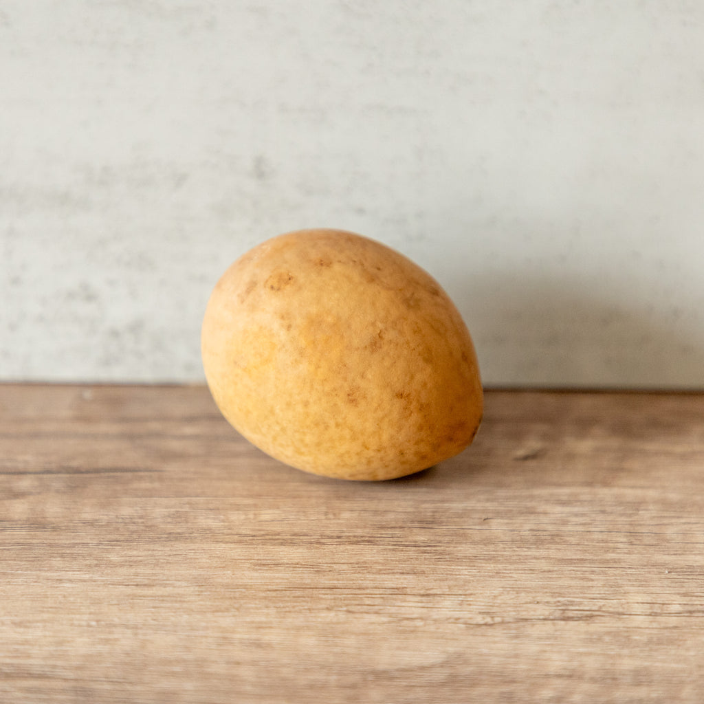 Dried XLG Egg Gourd - 2" in Diameter