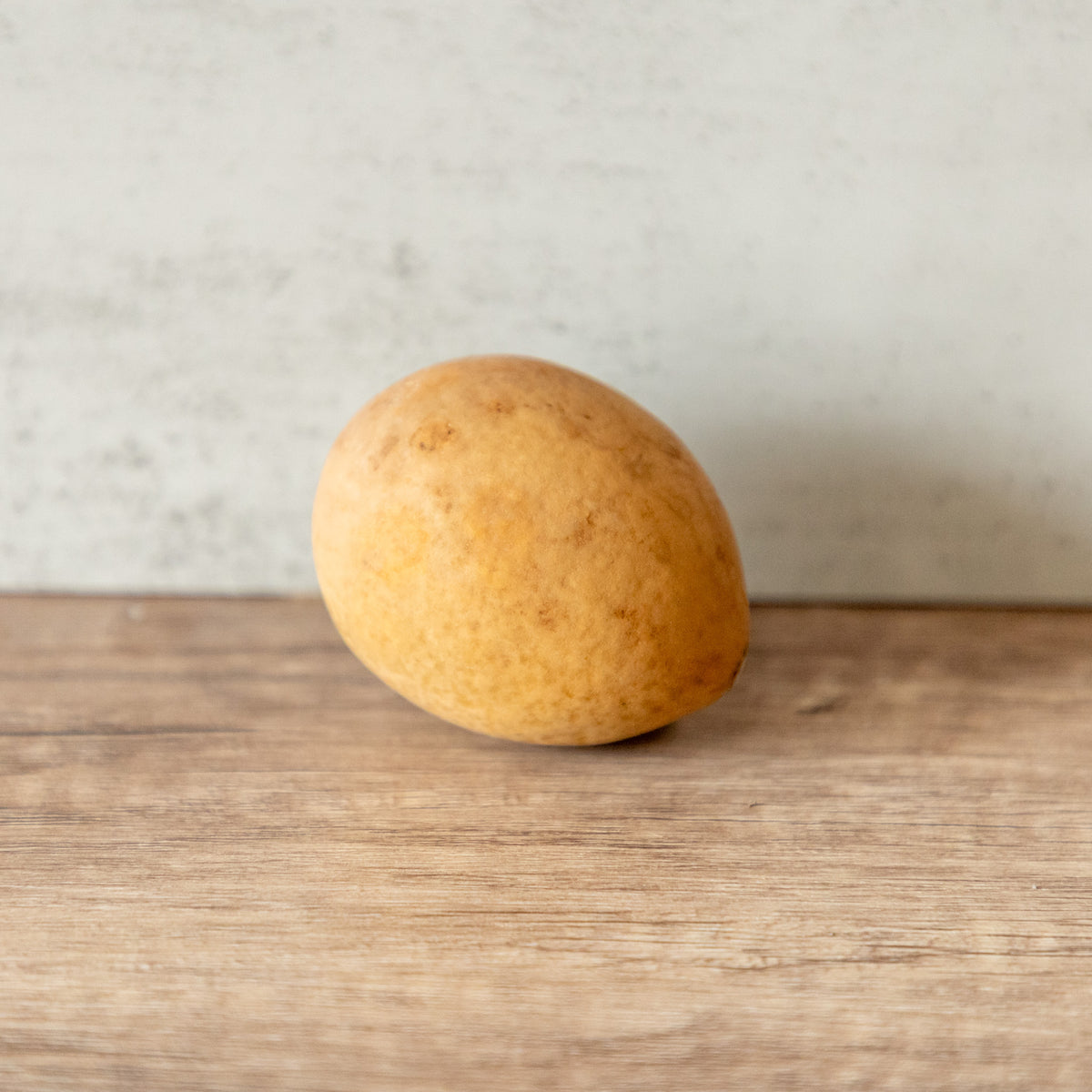 Dried XLG Egg Gourd - 2" in Diameter