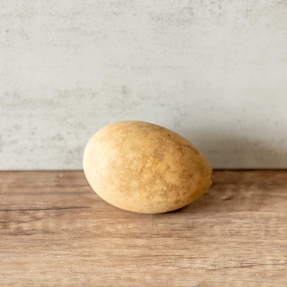 Dried XLG Egg Gourd - 2" in Diameter