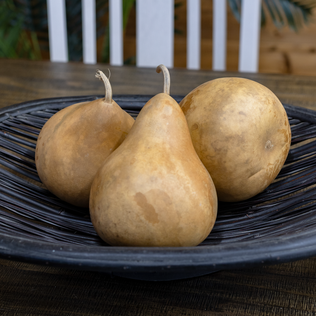Dried Martin Gourd - 5" in Diameter