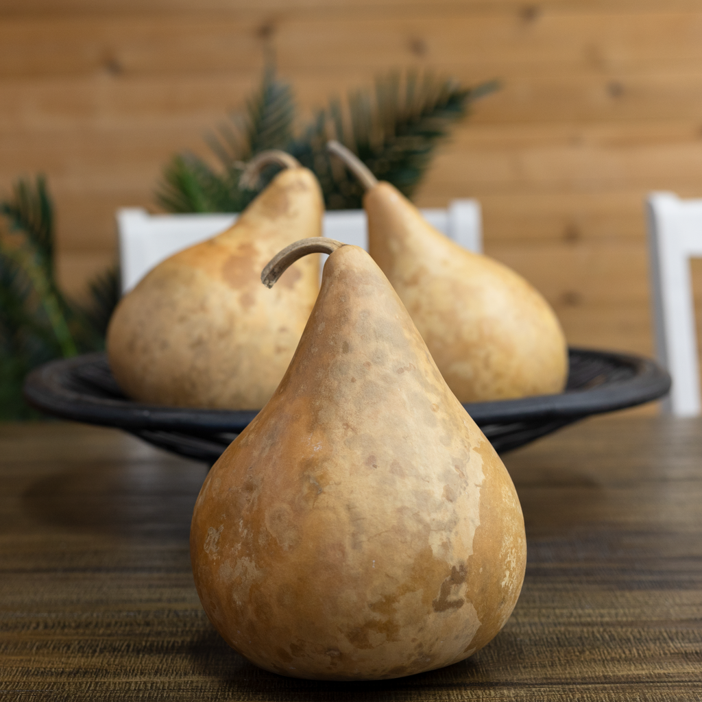 Dried Martin Gourd - 5" in Diameter