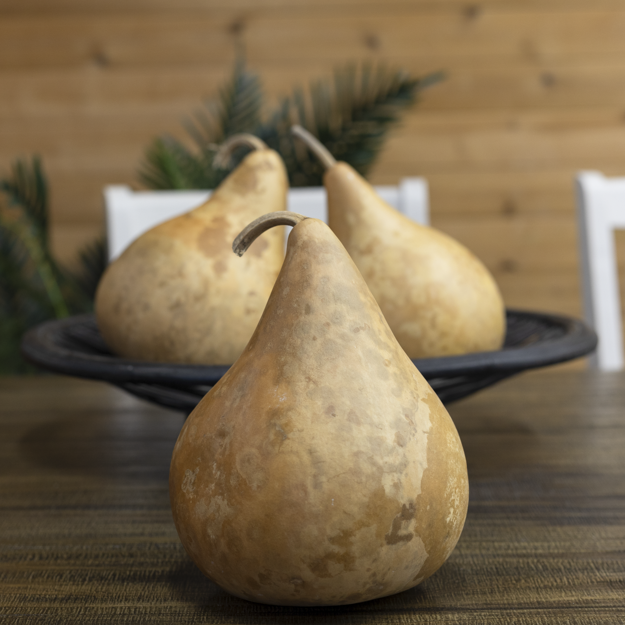 Dried Martin Gourd - 5" in Diameter