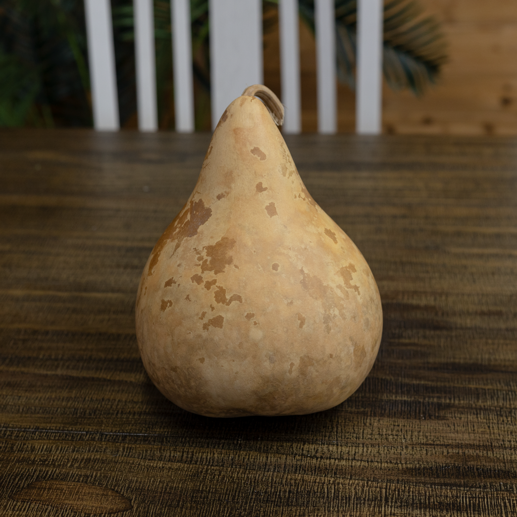 Dried Martin Gourd - 5" in Diameter