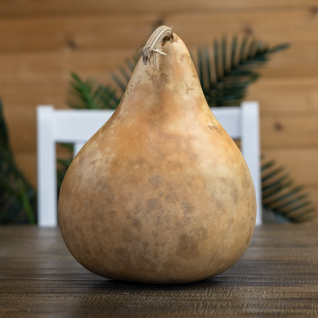 Dried Martin Gourd - 5" in Diameter