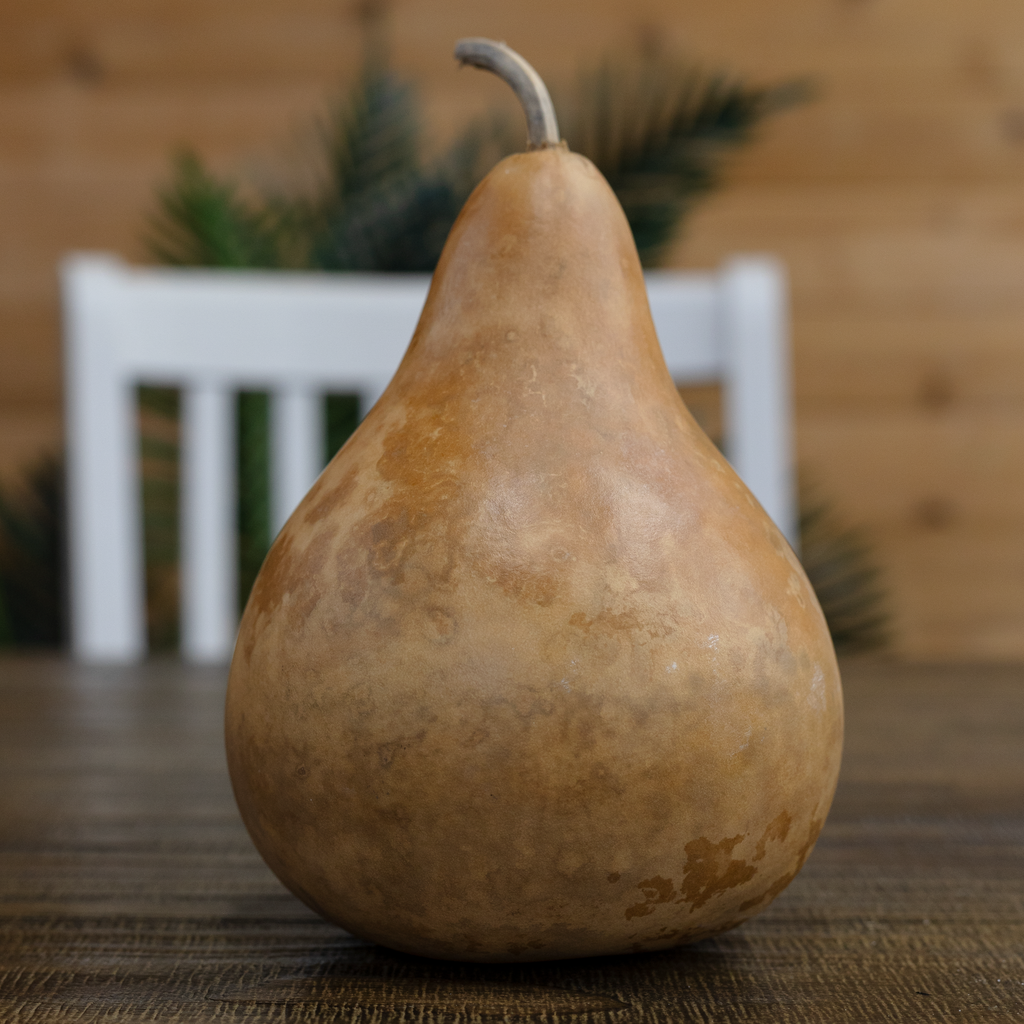 Dried Martin Gourd - 7" in Diameter