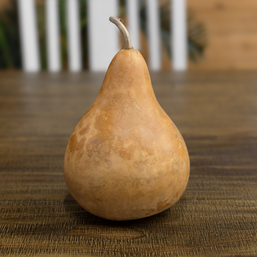 Dried Martin Gourd - 7" in Diameter