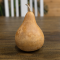 Dried Martin Gourd - 7" in Diameter