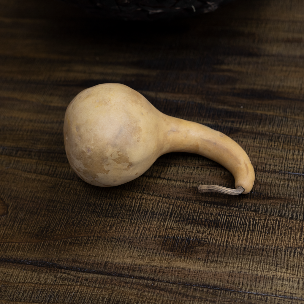 Dried Dipper Gourd - 3.5" in Diameter
