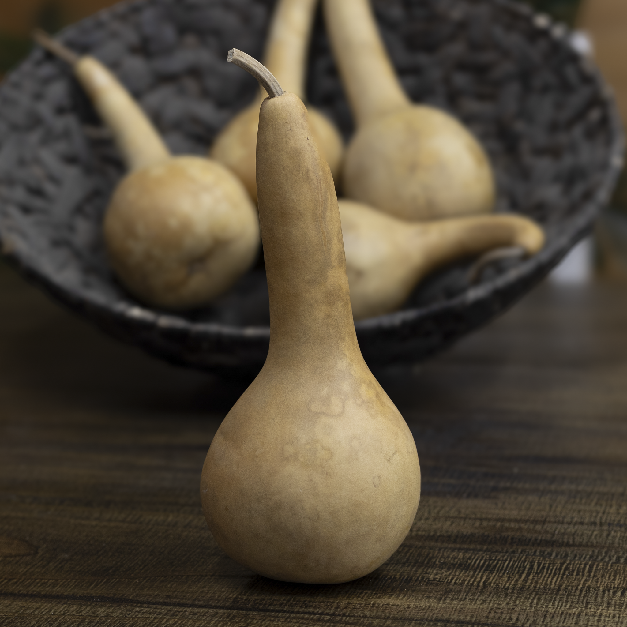 Dried Dipper Gourd - 3.5" in Diameter