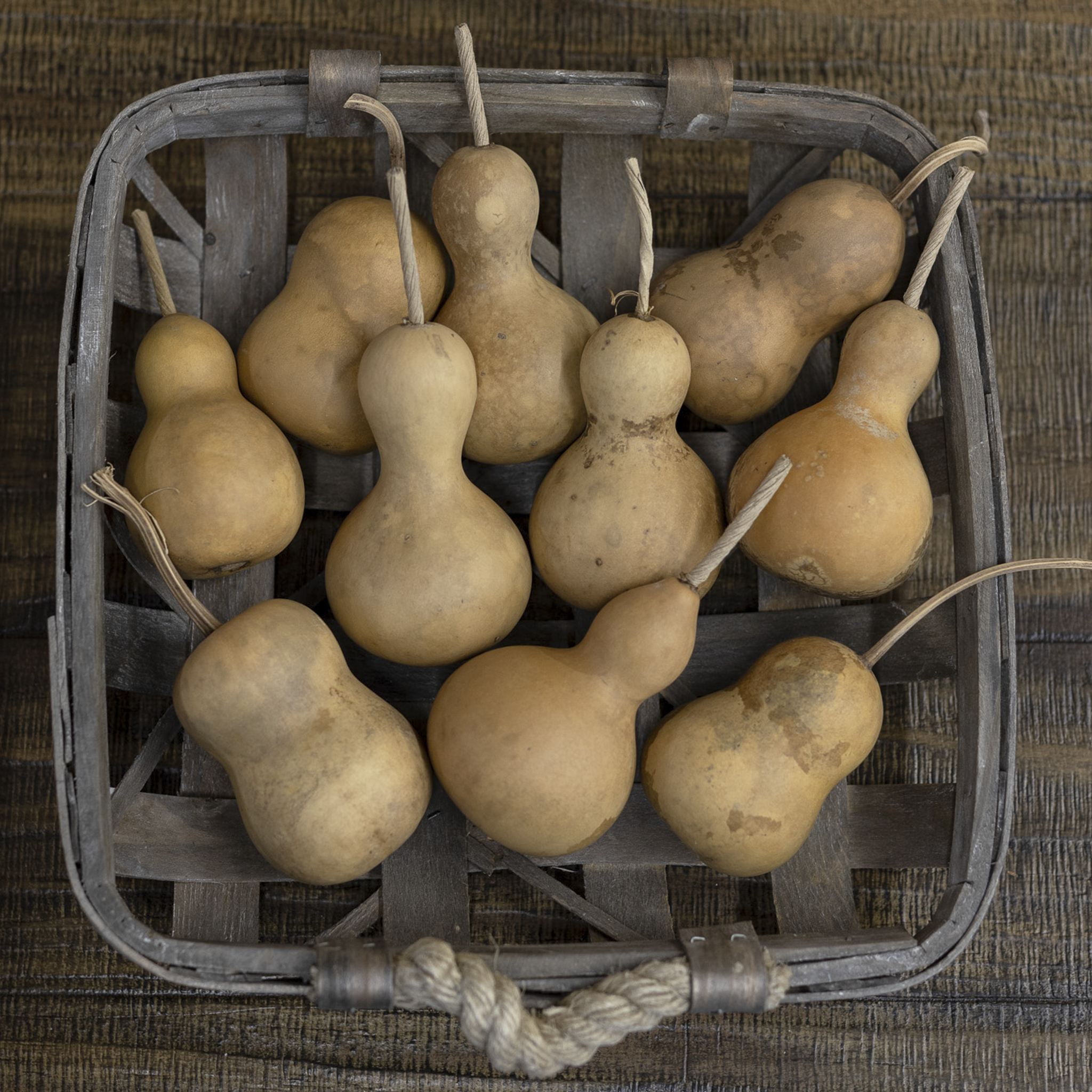 Dried Bottle Gourd - 2" in Diameter