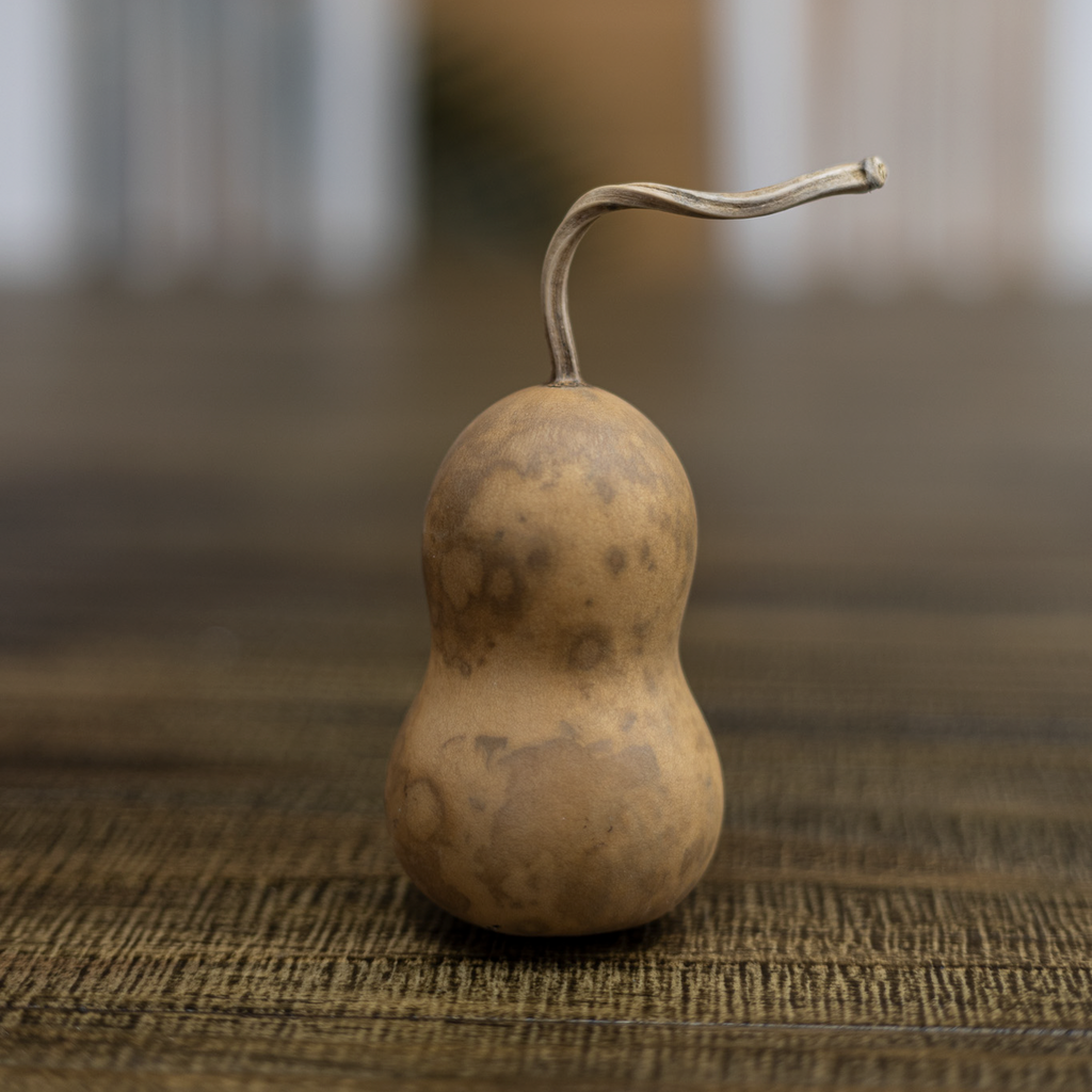 Dried Bottle Gourd - 2" in Diameter