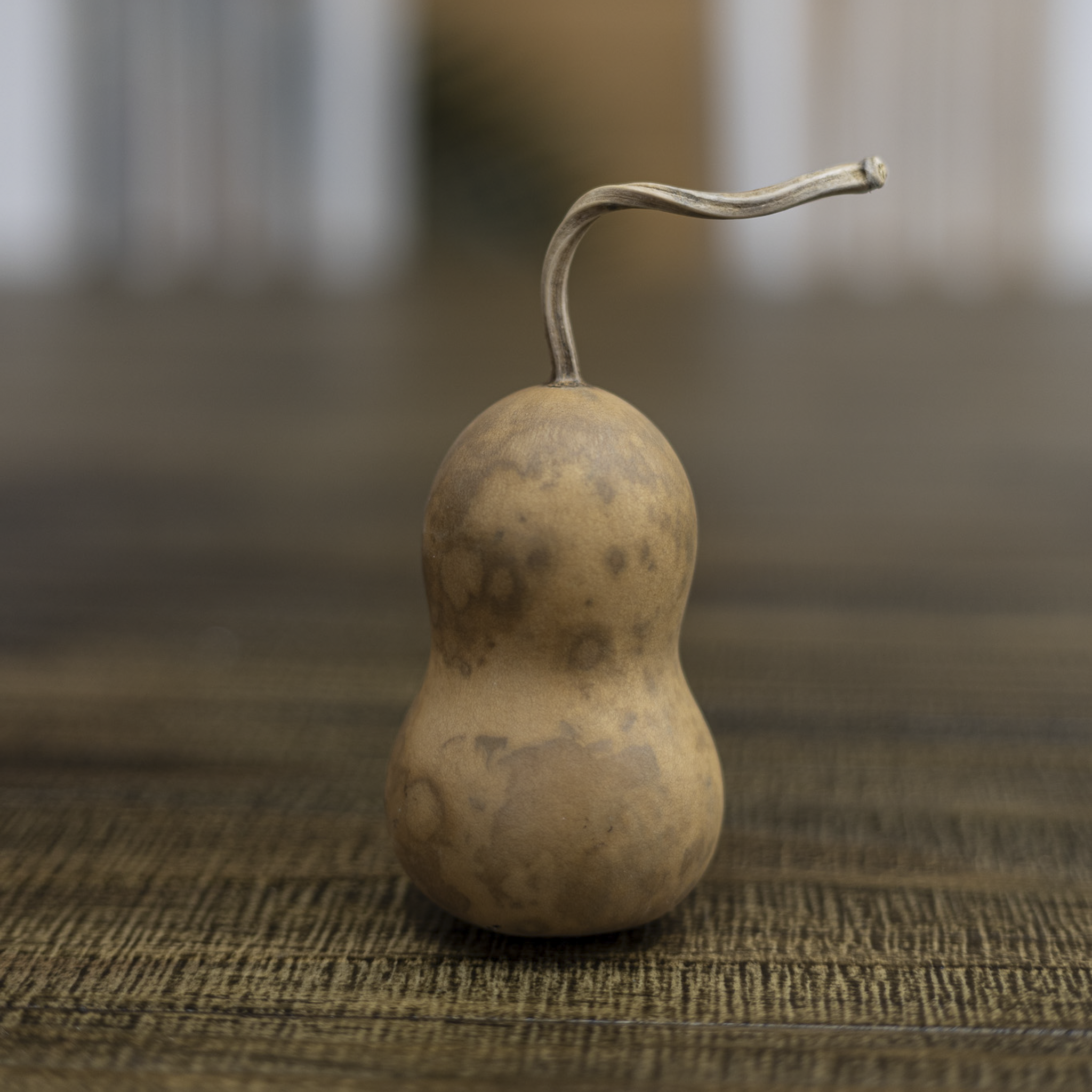 Dried Bottle Gourd - 2" in Diameter