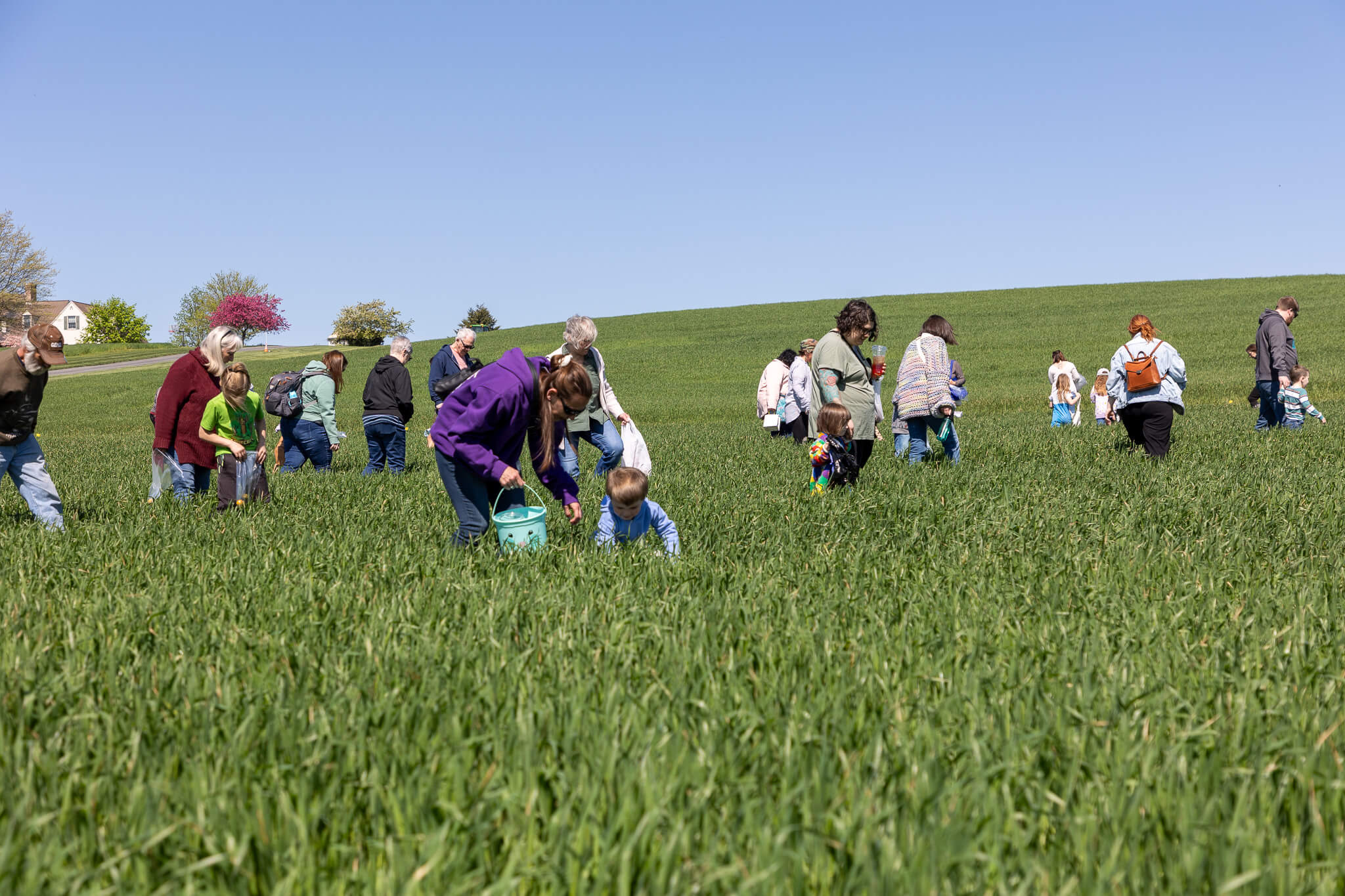Meadowbrooke Gourds Gourd Egg Hunt. 