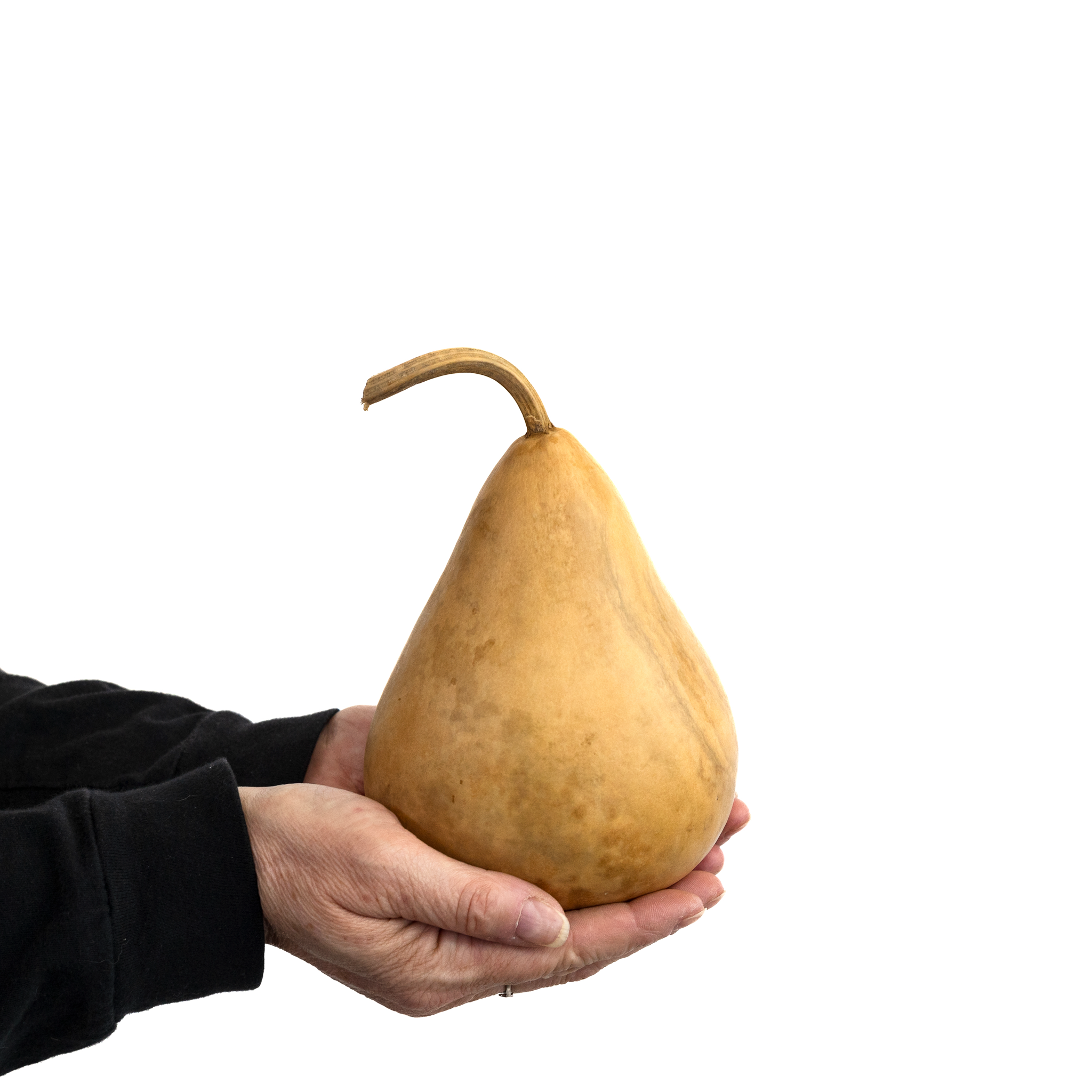 Dried Martin Gourd - 4" in Diameter