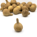 Dried Spinner Gourd - Large