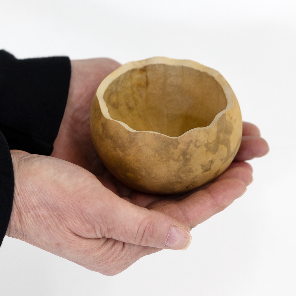Dried 3" Scalloped Cut Gourd Bowl