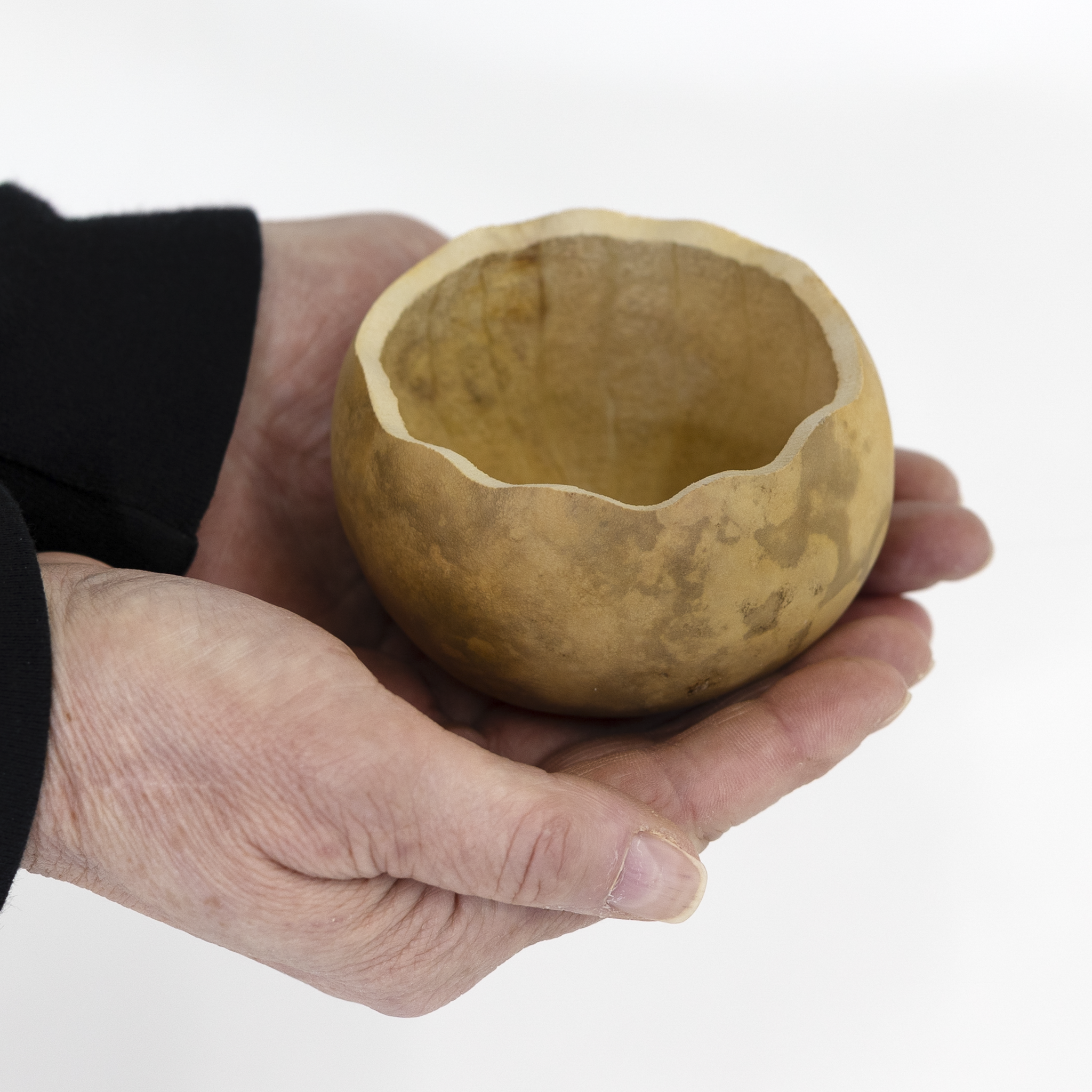 Dried 3" Scalloped Cut Gourd Bowl
