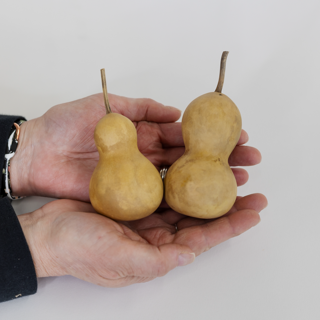 Dried Bottle Gourd - 2" in Diameter