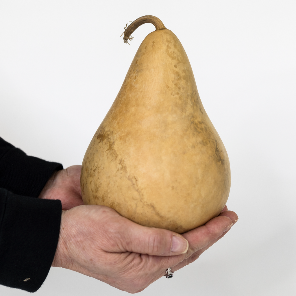 Dried Martin Gourd - 4" in Diameter