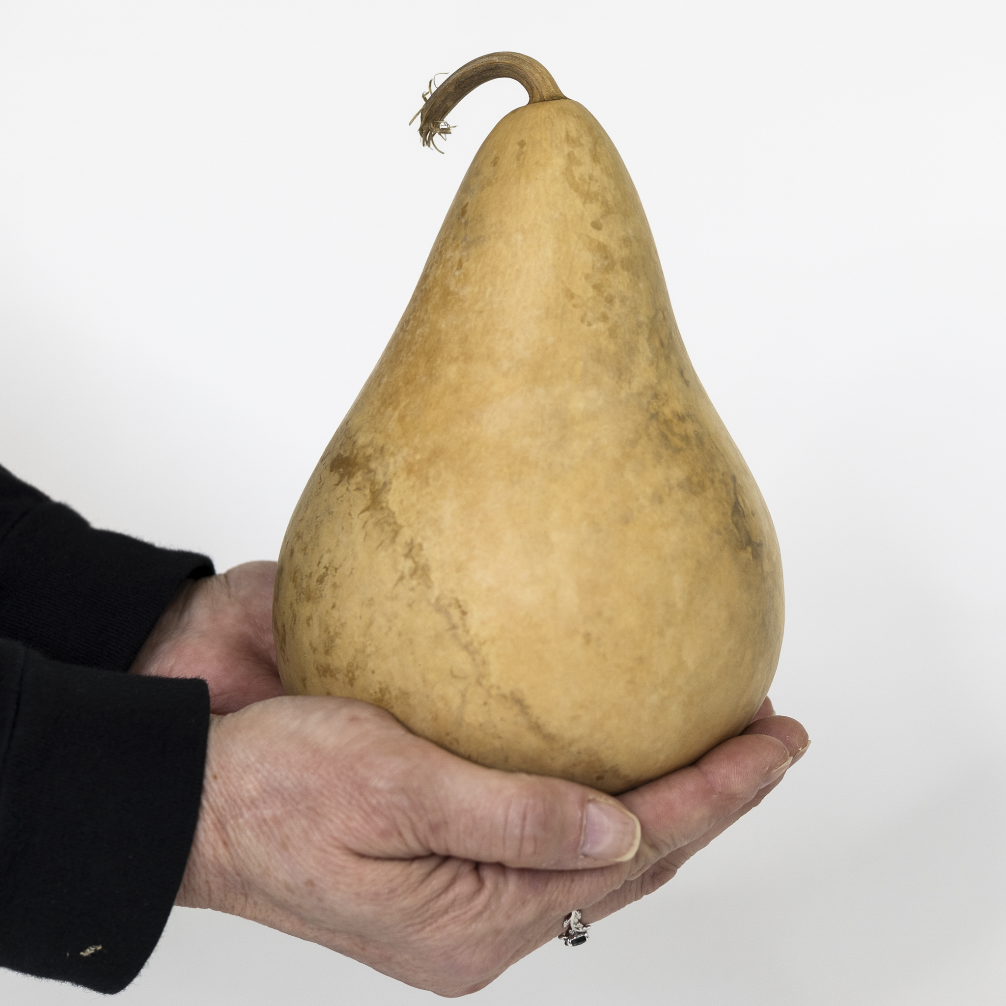 Dried Martin Gourd - 4" in Diameter