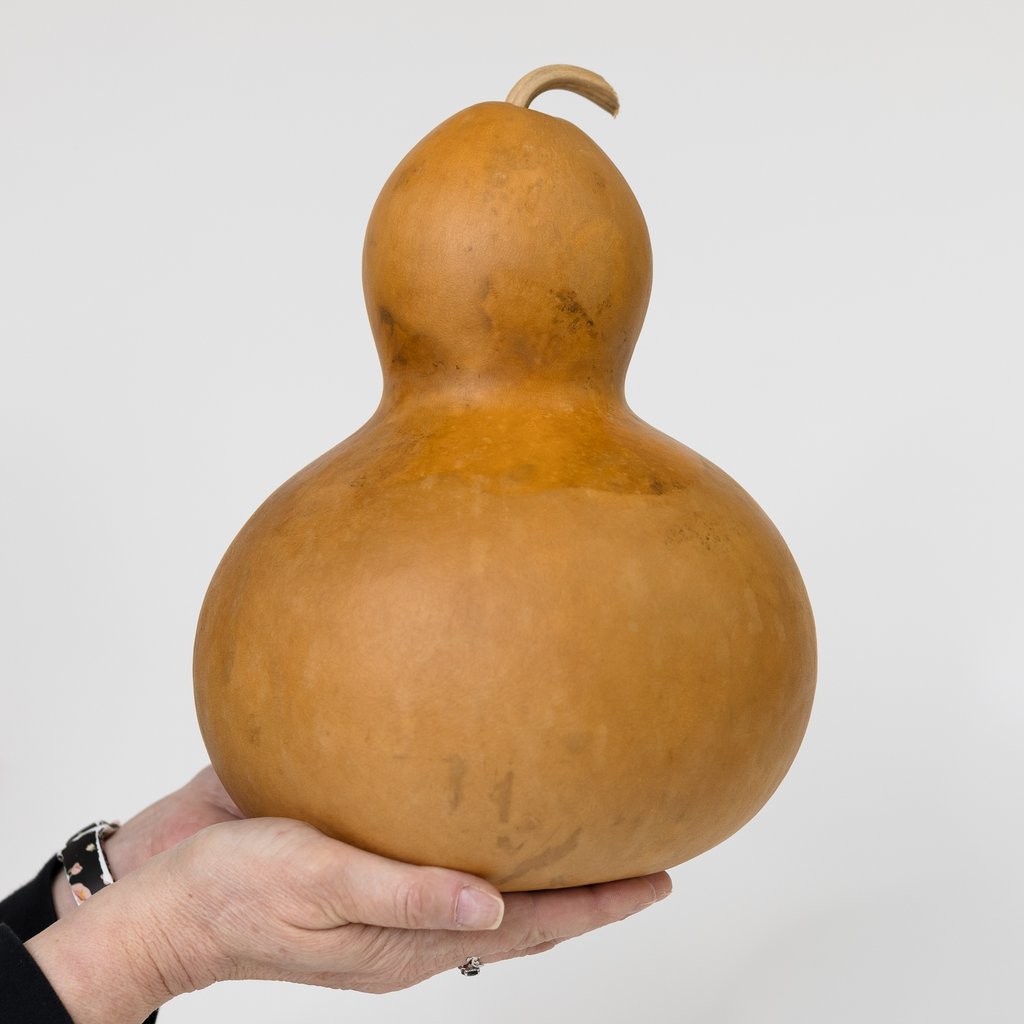 Dried Bottle Gourd - 9" in Diameter