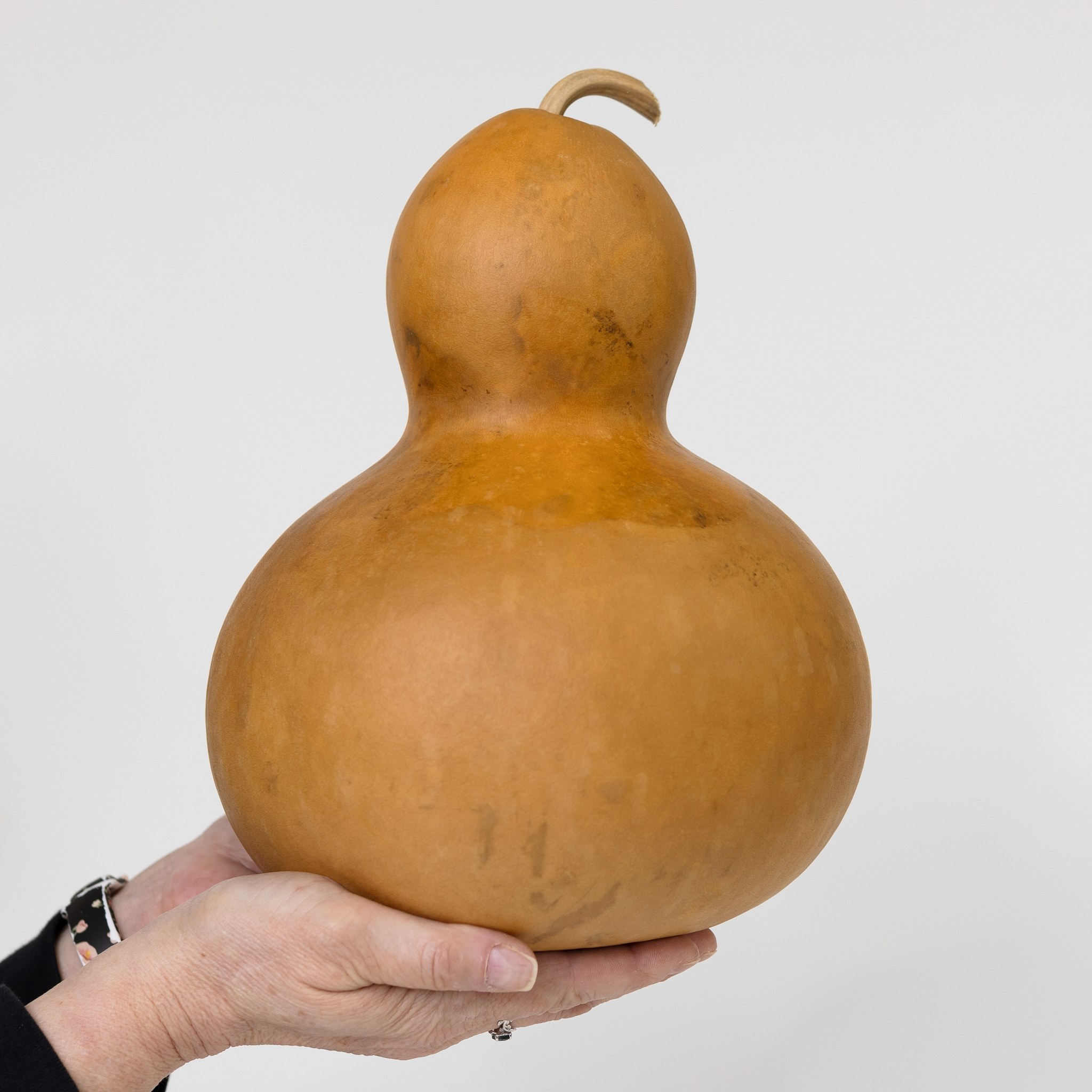 Dried Bottle Gourd - 9" in Diameter