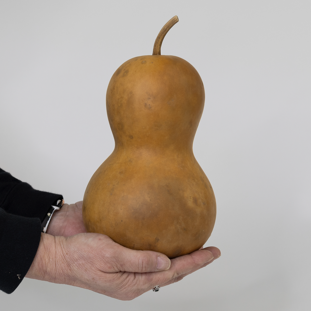 Dried Bottle Gourd  -  5" in Diameter