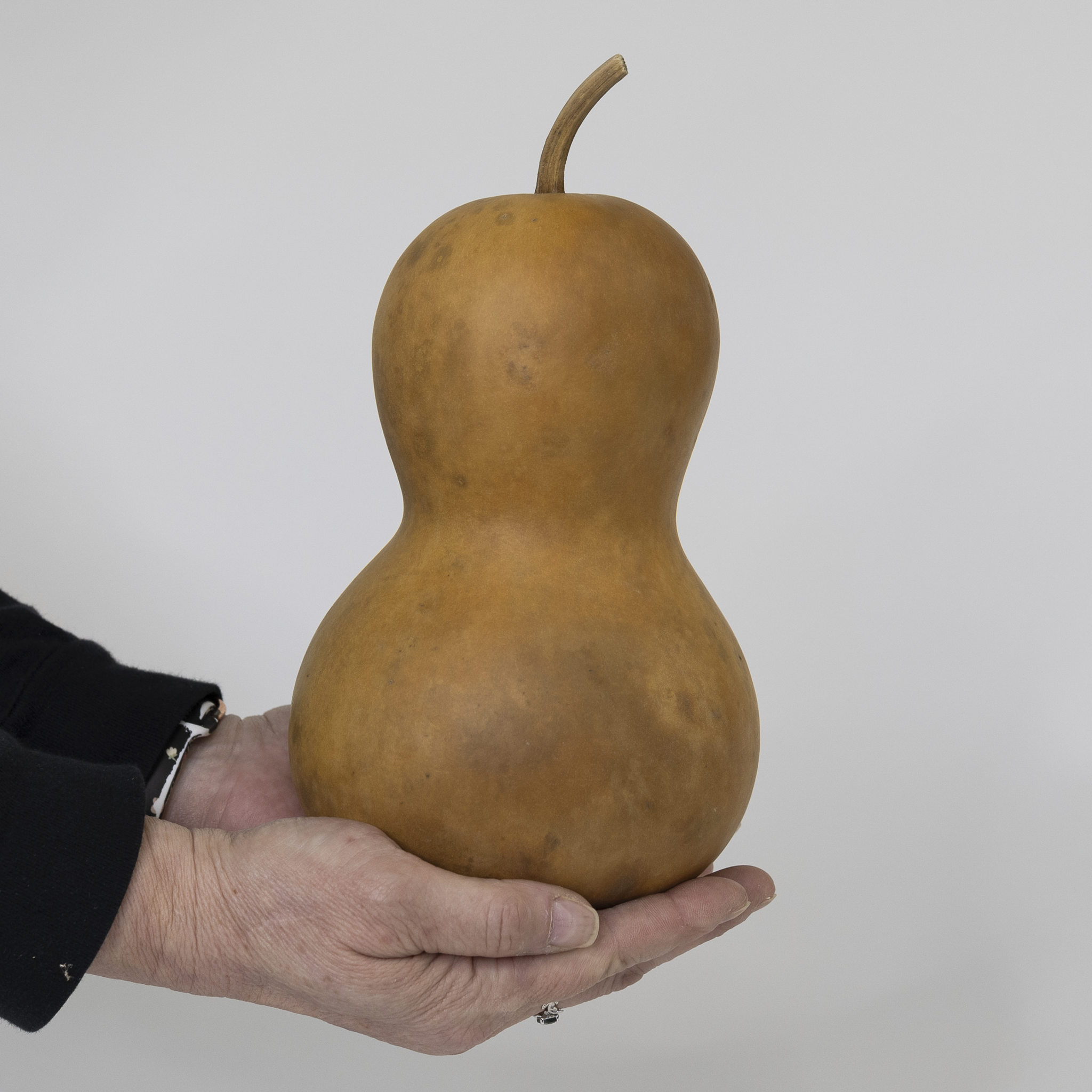 Dried Bottle Gourd  -  5" in Diameter