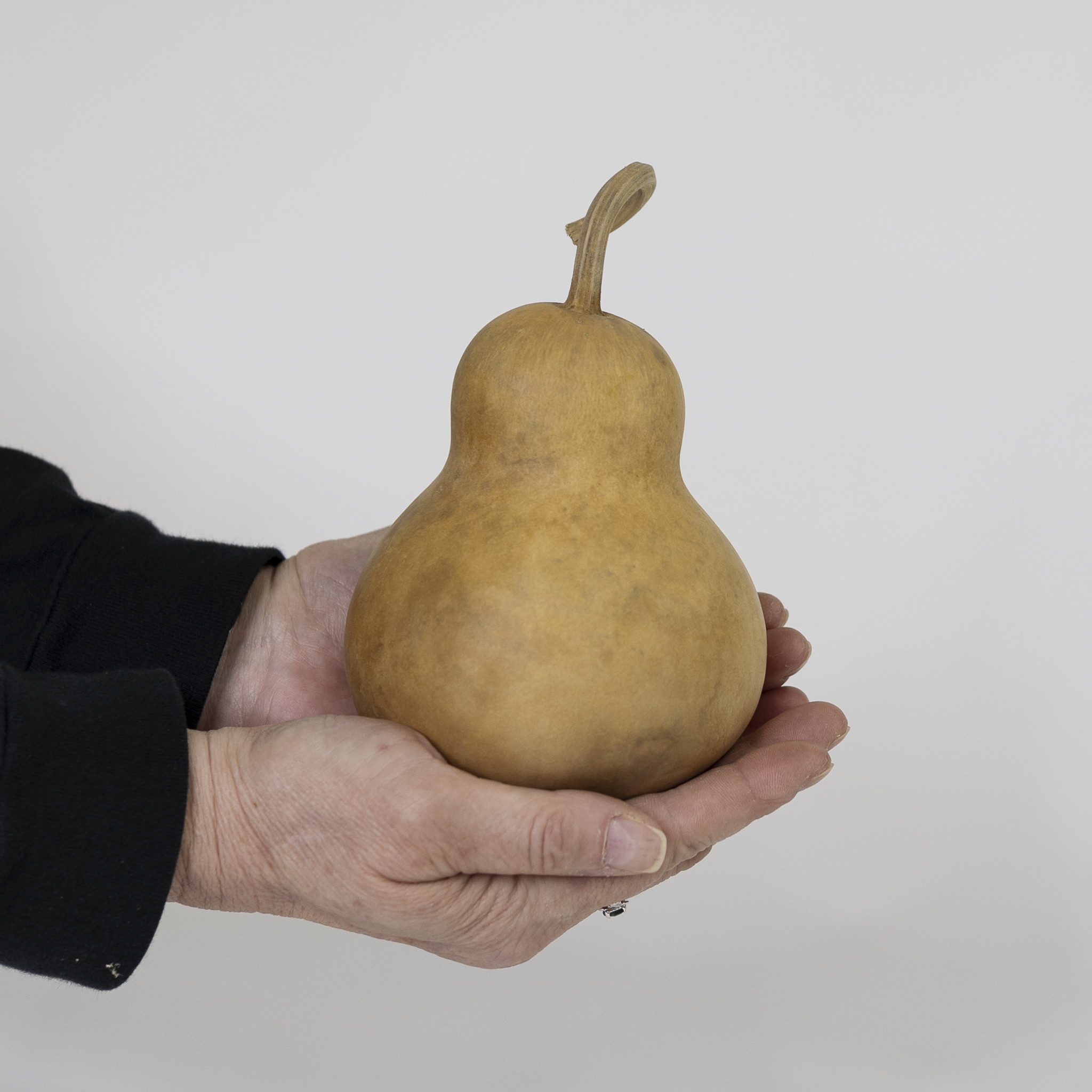 Dried Bottle Gourd - 4" in Diameter